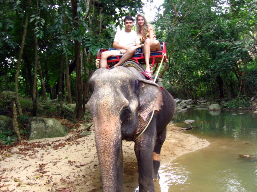В первый раз БКК-Самуи-Краби-ПиПи-Пукет/февраль2009.