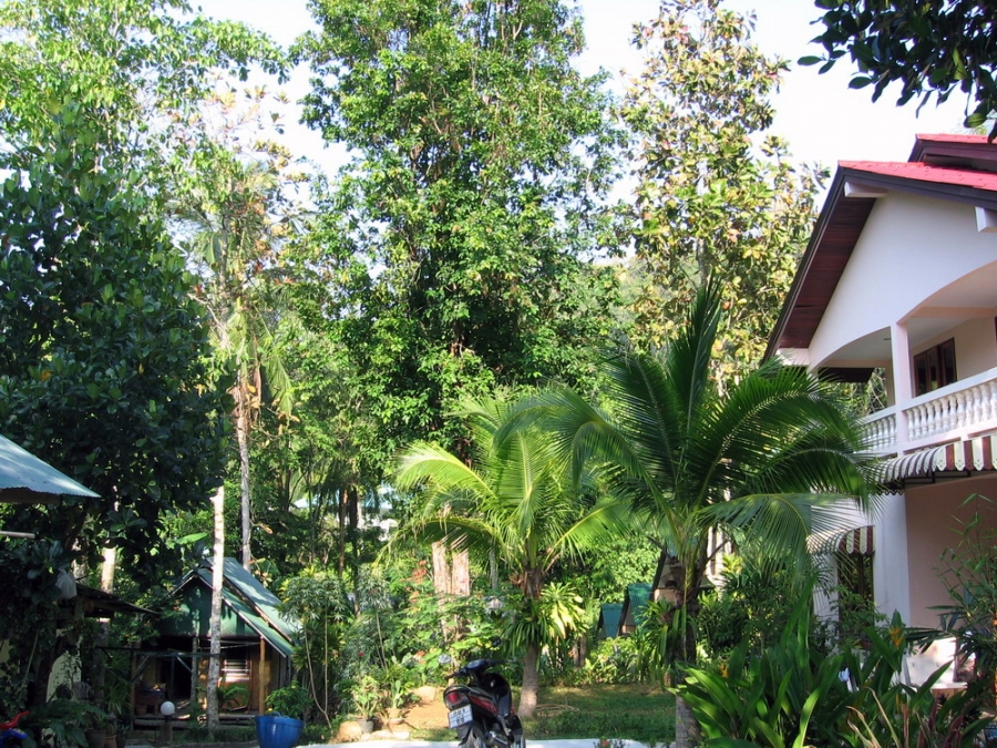 В первый раз БКК-Самуи-Краби-ПиПи-Пукет/февраль2009.