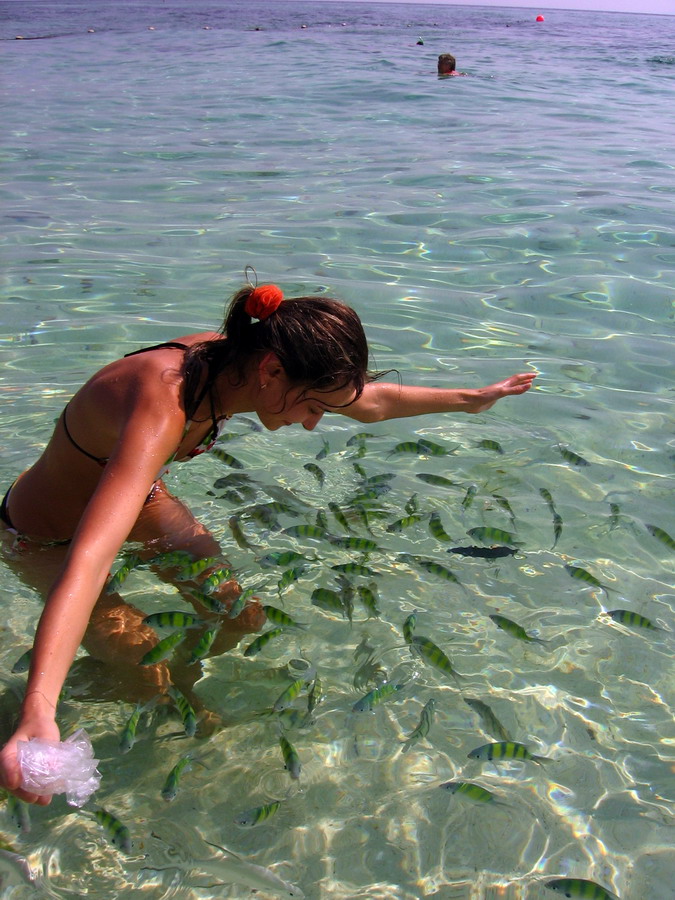 В первый раз БКК-Самуи-Краби-ПиПи-Пукет/февраль2009.