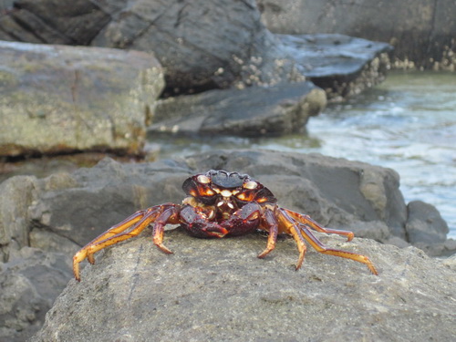 Месяц в Таиланде: Khao Lak – Krabi - Ko Lanta - Phuket Месяц в Таиланде: Khao Lak – Krabi - Ko Lanta - Phuket