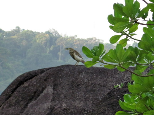 Месяц в Таиланде: Khao Lak – Krabi - Ko Lanta - Phuket Месяц в Таиланде: Khao Lak – Krabi - Ko Lanta - Phuket