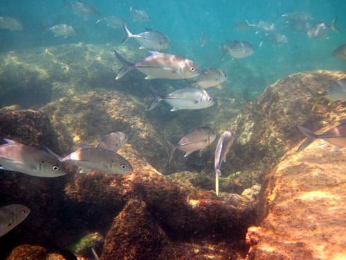 Месяц в Таиланде: Khao Lak – Krabi - Ko Lanta - Phuket Месяц в Таиланде: Khao Lak – Krabi - Ko Lanta - Phuket