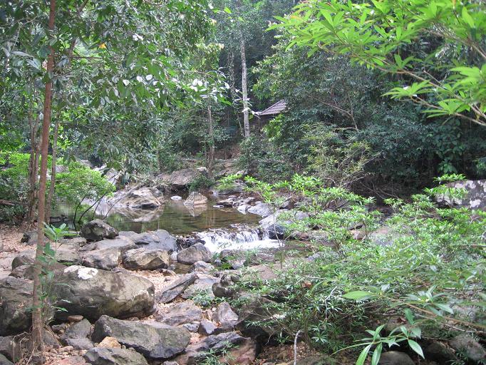 Свадебное путешествие и первая самостоятельная поездка в Тай