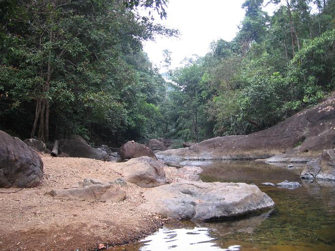 Свадебное путешествие и первая самостоятельная поездка в Тай