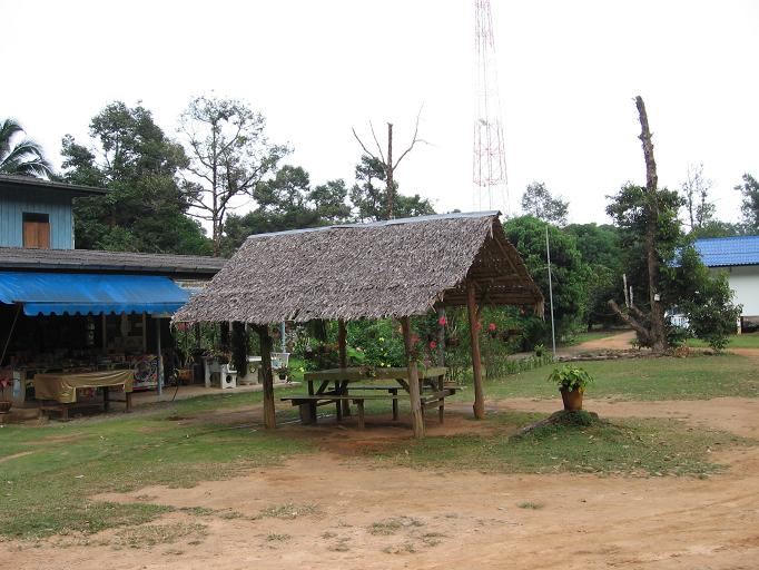 Свадебное путешествие и первая самостоятельная поездка в Тай