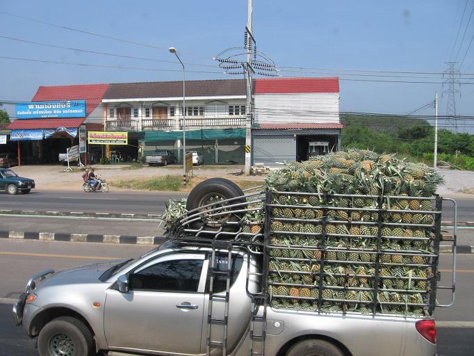 Свадебное путешествие и первая самостоятельная поездка в Тай