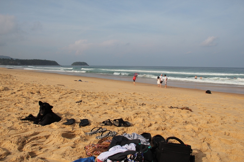 Пукет_Пи-Пи июль 2011 (фото)