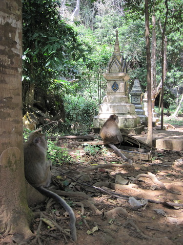 Месяц в Таиланде: Khao Lak – Krabi - Ko Lanta - Phuket