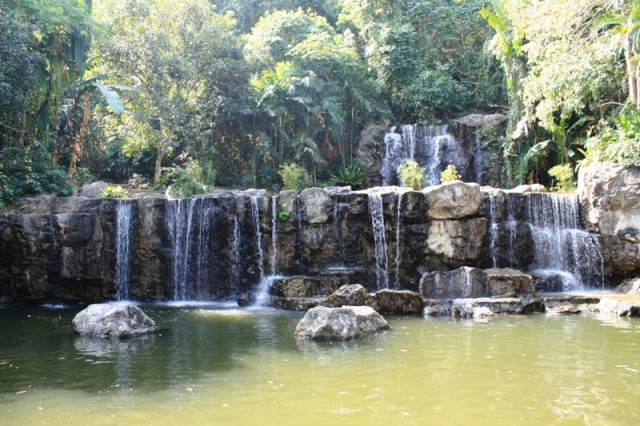 ПТТ-Чанг-БКК (+ немного фото из прошлых поездок) ПТТ-Чанг-БКК (+ немного фото из прошлых поездок)