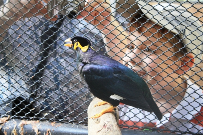 ПТТ-Чанг-БКК (+ немного фото из прошлых поездок) ПТТ-Чанг-БКК (+ немного фото из прошлых поездок)