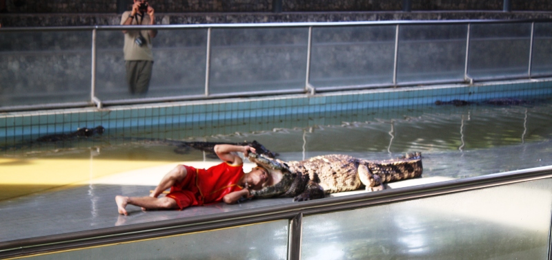 ПТТ-Чанг-БКК (+ немного фото из прошлых поездок) ПТТ-Чанг-БКК (+ немного фото из прошлых поездок)