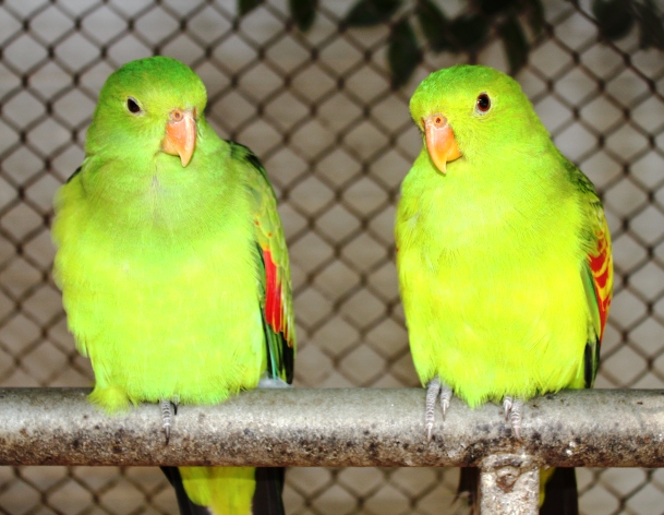 ПТТ-Чанг-БКК (+ немного фото из прошлых поездок) ПТТ-Чанг-БКК (+ немного фото из прошлых поездок)