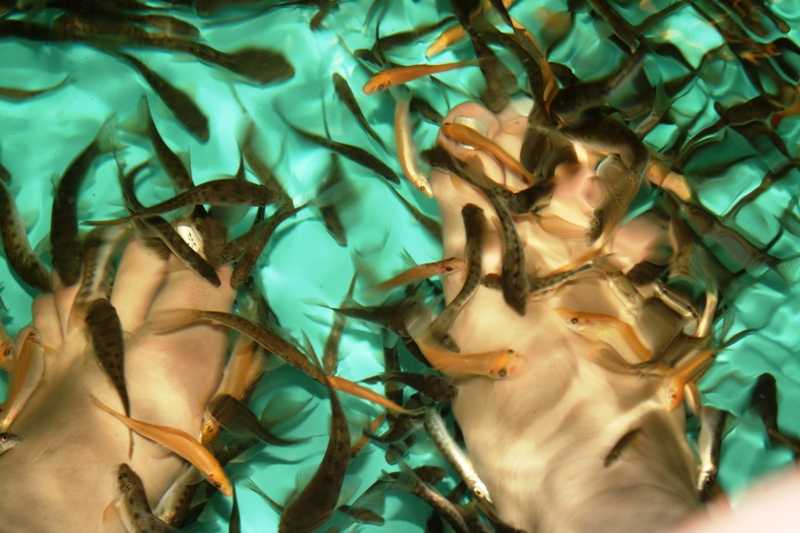 ПТТ-Чанг-БКК (+ немного фото из прошлых поездок) ПТТ-Чанг-БКК (+ немного фото из прошлых поездок)