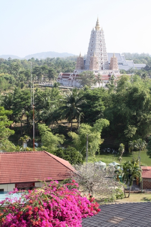 ПТТ-Чанг-БКК (+ немного фото из прошлых поездок) ПТТ-Чанг-БКК (+ немного фото из прошлых поездок)