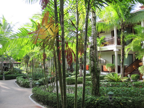 Месяц в Таиланде: Khao Lak – Krabi - Ko Lanta - Phuket