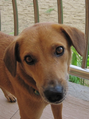 Месяц в Таиланде: Khao Lak – Krabi - Ko Lanta - Phuket Месяц в Таиланде: Khao Lak – Krabi - Ko Lanta - Phuket