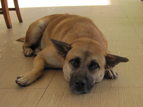 Месяц в Таиланде: Khao Lak – Krabi - Ko Lanta - Phuket Месяц в Таиланде: Khao Lak – Krabi - Ko Lanta - Phuket