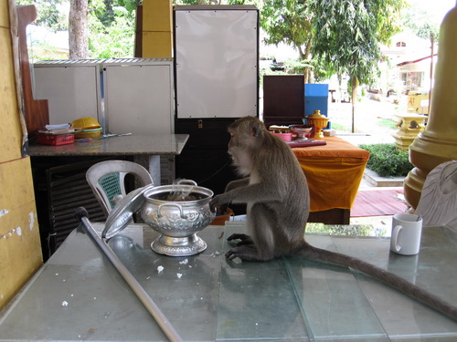 Месяц в Таиланде: Khao Lak – Krabi - Ko Lanta - Phuket Месяц в Таиланде: Khao Lak – Krabi - Ko Lanta - Phuket