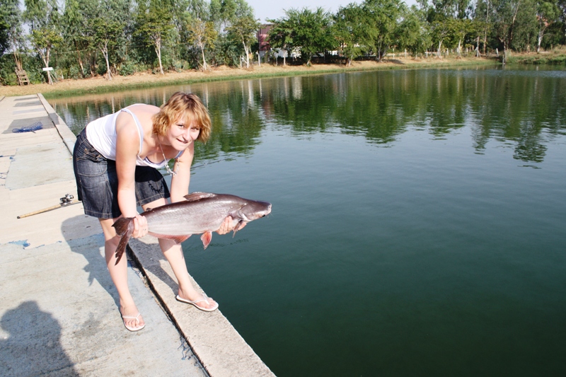 ПТТ-Чанг-БКК (+ немного фото из прошлых поездок) ПТТ-Чанг-БКК (+ немного фото из прошлых поездок)