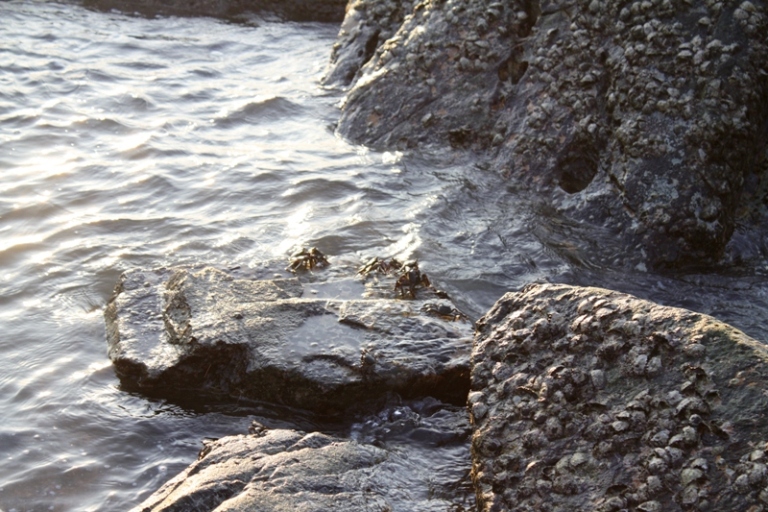 ПТТ-Чанг-БКК (+ немного фото из прошлых поездок) ПТТ-Чанг-БКК (+ немного фото из прошлых поездок)