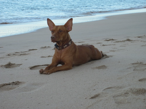 Месяц в Таиланде: Khao Lak – Krabi - Ko Lanta - Phuket Месяц в Таиланде: Khao Lak – Krabi - Ko Lanta - Phuket