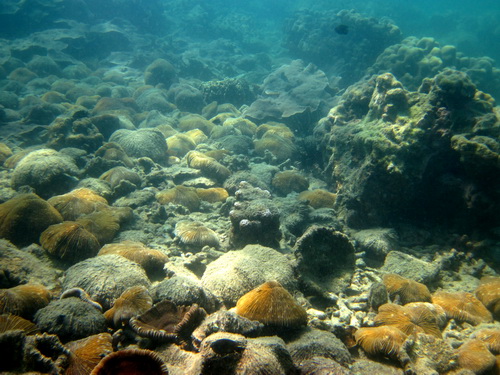 Месяц в Таиланде: Khao Lak – Krabi - Ko Lanta - Phuket