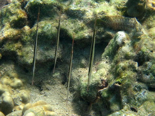 Месяц в Таиланде: Khao Lak – Krabi - Ko Lanta - Phuket