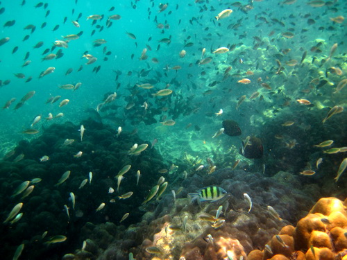 Месяц в Таиланде: Khao Lak – Krabi - Ko Lanta - Phuket