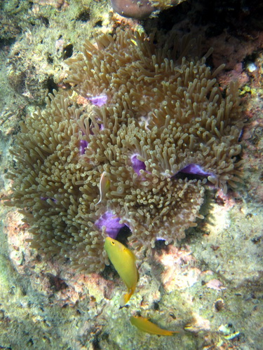 Месяц в Таиланде: Khao Lak – Krabi - Ko Lanta - Phuket