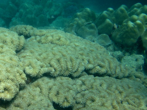 Месяц в Таиланде: Khao Lak – Krabi - Ko Lanta - Phuket