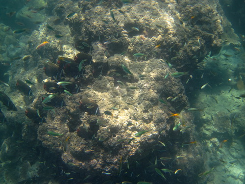 Месяц в Таиланде: Khao Lak – Krabi - Ko Lanta - Phuket