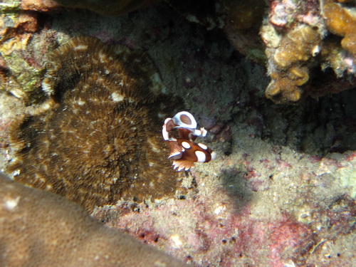 Месяц в Таиланде: Khao Lak – Krabi - Ko Lanta - Phuket