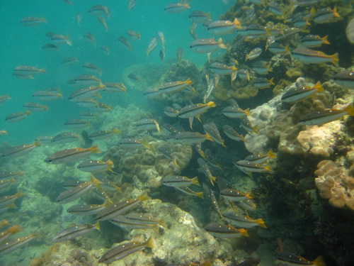 Месяц в Таиланде: Khao Lak – Krabi - Ko Lanta - Phuket