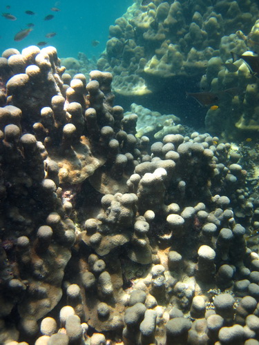 Месяц в Таиланде: Khao Lak – Krabi - Ko Lanta - Phuket