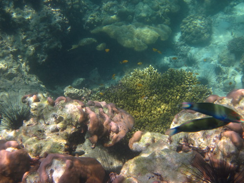 Месяц в Таиланде: Khao Lak – Krabi - Ko Lanta - Phuket