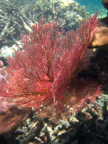 Месяц в Таиланде: Khao Lak – Krabi - Ko Lanta - Phuket