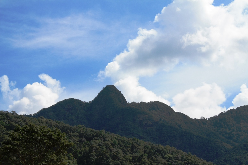 ПТТ-Чанг-БКК (+ немного фото из прошлых поездок) ПТТ-Чанг-БКК (+ немного фото из прошлых поездок)