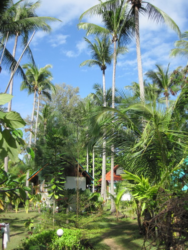 Месяц в Таиланде: Khao Lak – Krabi - Ko Lanta - Phuket