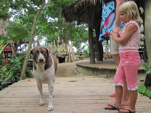 Месяц в Таиланде: Khao Lak – Krabi - Ko Lanta - Phuket Месяц в Таиланде: Khao Lak – Krabi - Ko Lanta - Phuket