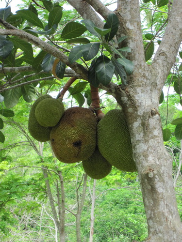 Месяц в Таиланде: Khao Lak – Krabi - Ko Lanta - Phuket Месяц в Таиланде: Khao Lak – Krabi - Ko Lanta - Phuket