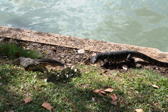 ПТТ-Чанг-БКК (+ немного фото из прошлых поездок) ПТТ-Чанг-БКК (+ немного фото из прошлых поездок)