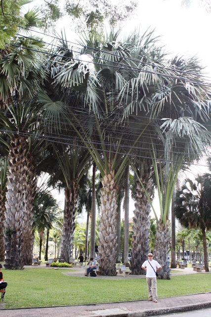 ПТТ-Чанг-БКК (+ немного фото из прошлых поездок) ПТТ-Чанг-БКК (+ немного фото из прошлых поездок)