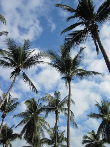 Месяц в Таиланде: Khao Lak – Krabi - Ko Lanta - Phuket