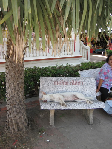 Месяц в Таиланде: Khao Lak – Krabi - Ko Lanta - Phuket Месяц в Таиланде: Khao Lak – Krabi - Ko Lanta - Phuket