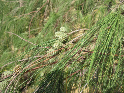 Месяц в Таиланде: Khao Lak – Krabi - Ko Lanta - Phuket Месяц в Таиланде: Khao Lak – Krabi - Ko Lanta - Phuket