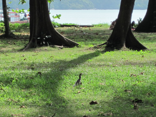 Месяц в Таиланде: Khao Lak – Krabi - Ko Lanta - Phuket Месяц в Таиланде: Khao Lak – Krabi - Ko Lanta - Phuket