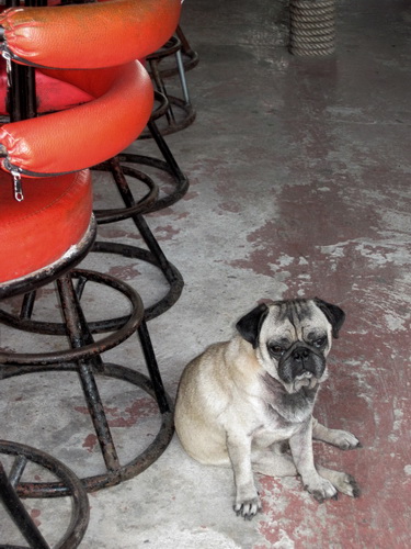 Месяц в Таиланде: Khao Lak – Krabi - Ko Lanta - Phuket Месяц в Таиланде: Khao Lak – Krabi - Ko Lanta - Phuket