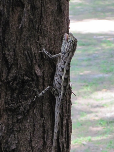 Месяц в Таиланде: Khao Lak – Krabi - Ko Lanta - Phuket Месяц в Таиланде: Khao Lak – Krabi - Ko Lanta - Phuket