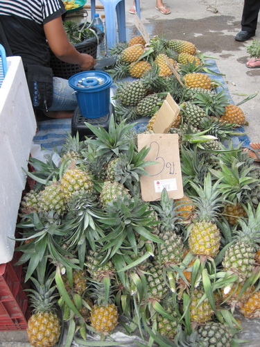 Месяц в Таиланде: Khao Lak – Krabi - Ko Lanta - Phuket Месяц в Таиланде: Khao Lak – Krabi - Ko Lanta - Phuket