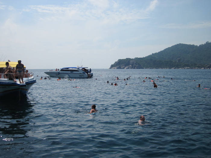 Утомленные снорком. Khao Lak–Surin–Similan–Ко Samui–Koh Tao–Phuket. Февраль – март 2013.